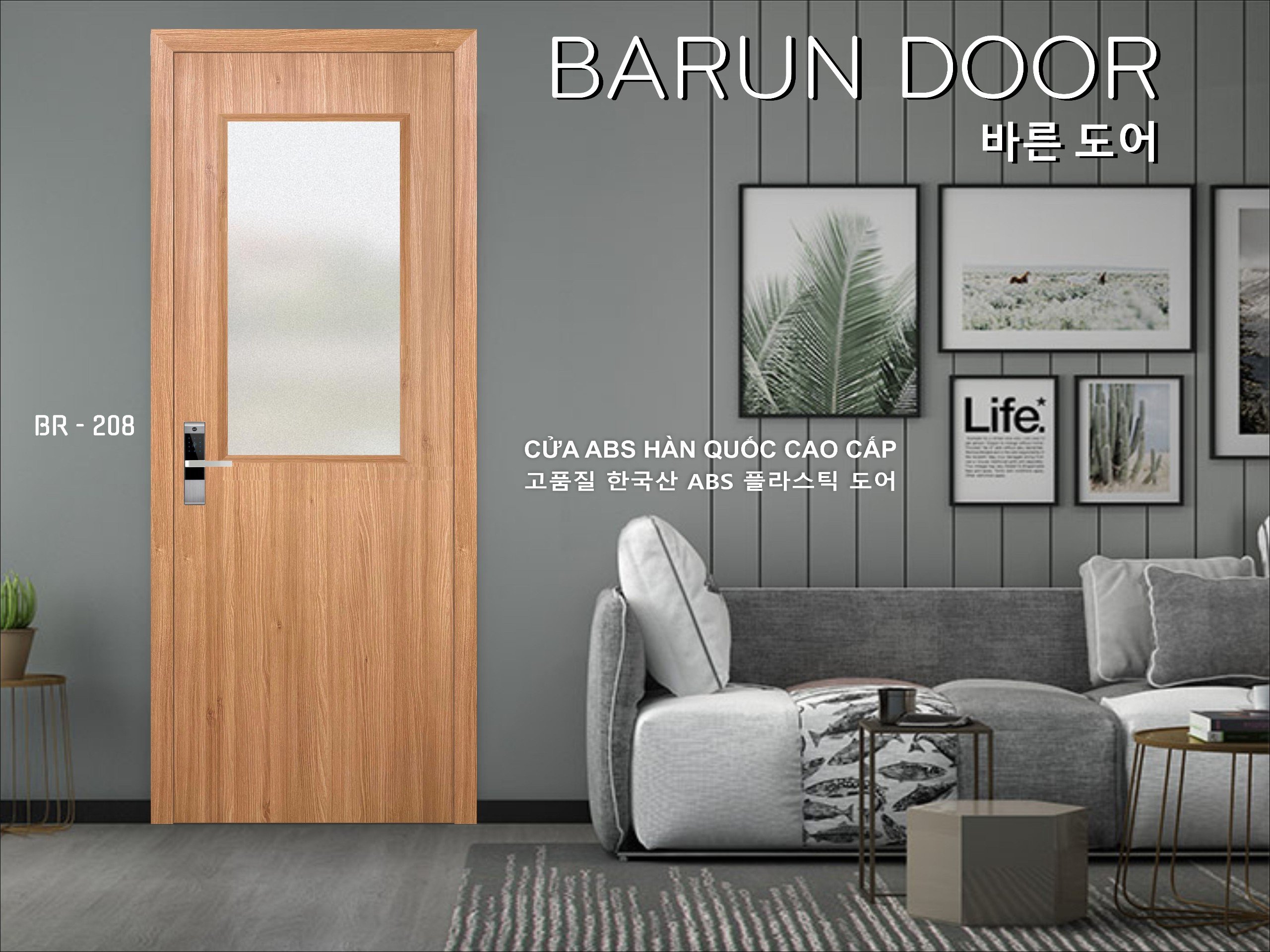 CỬA NHỰA ABS Ô KÍNH BR-208 BARUN HÀN QUỐC