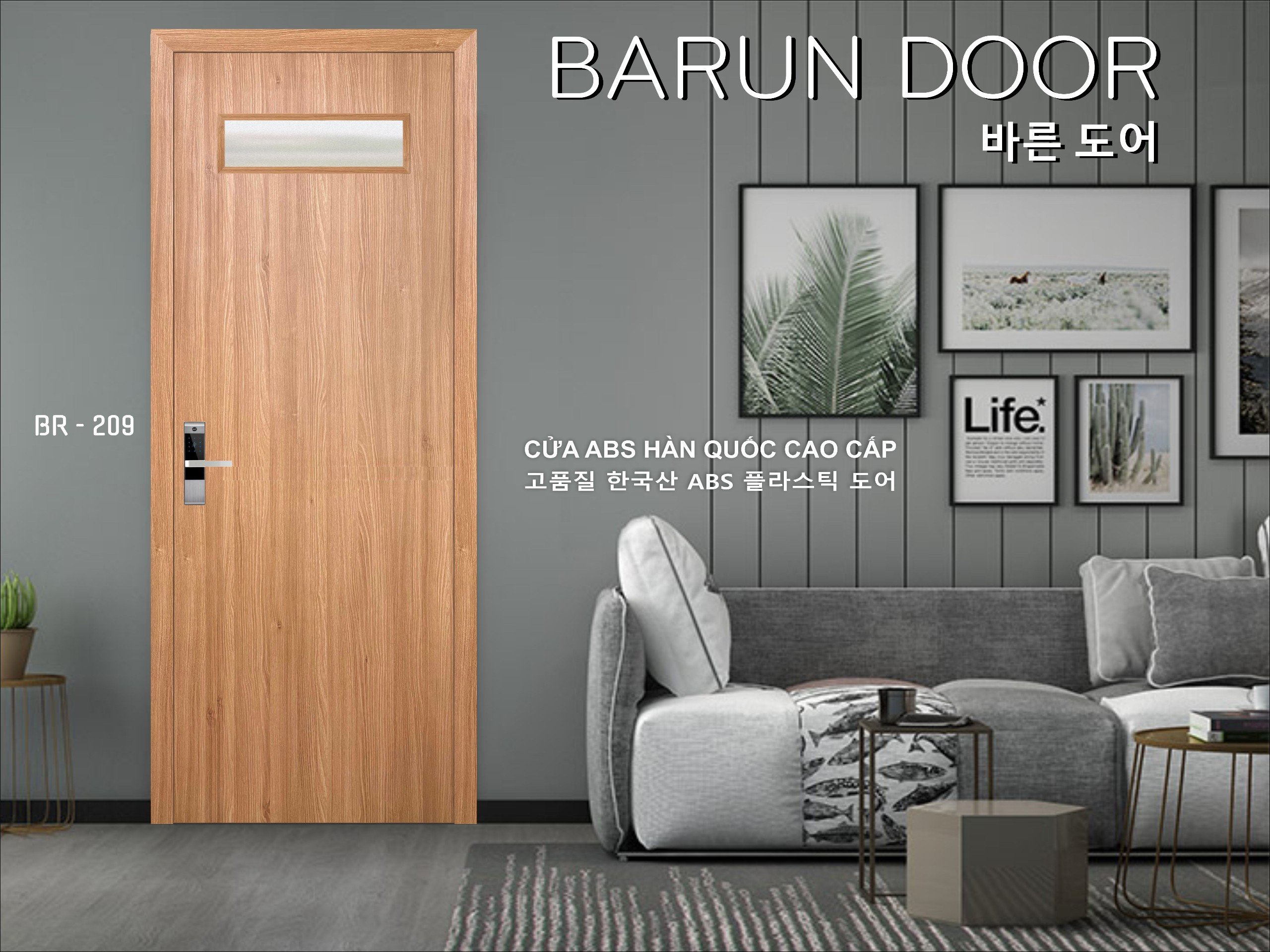 CỬA NHỰA ABS Ô KÍNH BR-209 BARUN HÀN QUỐC 
